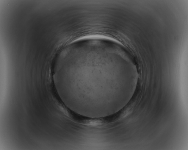 X0000087000462200704161527
