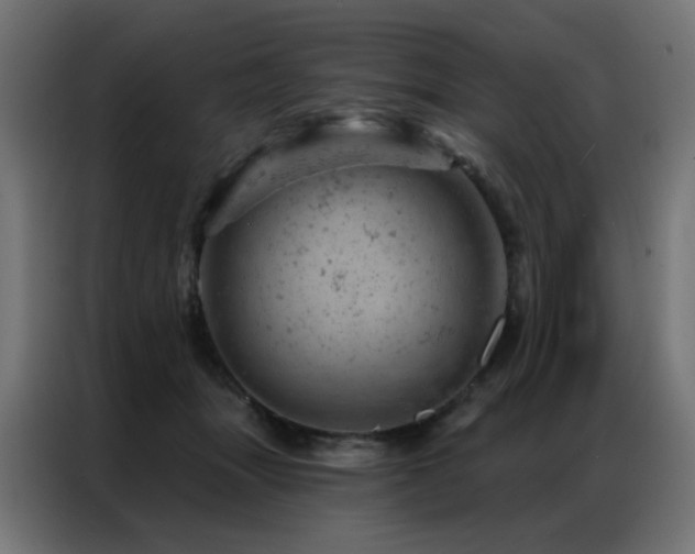 X0000087000463200704161527