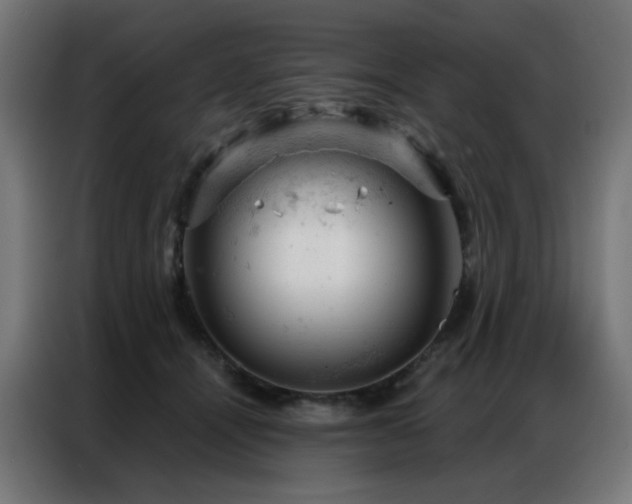 X0000087000464200704161527