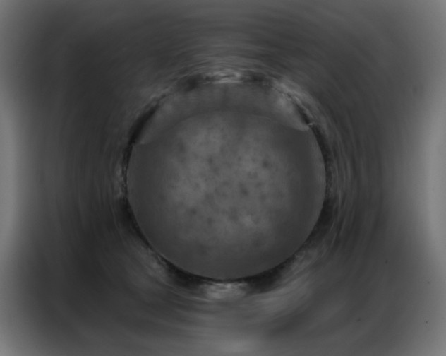 X0000087000465200704161527