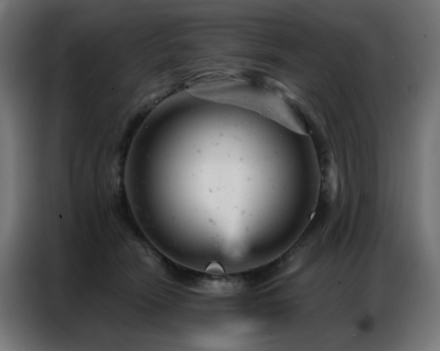 X0000087000466200704161527