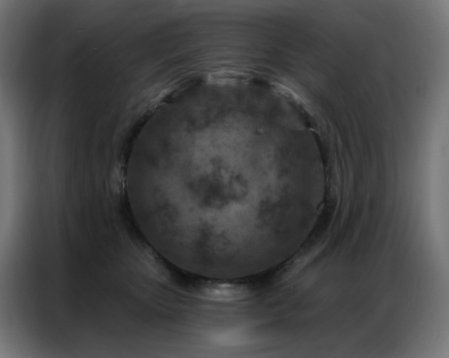 X0000087000467200704161527