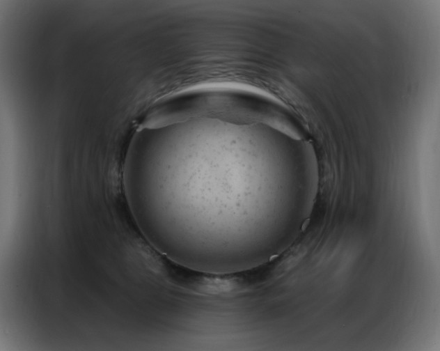 X0000087000469200704161527