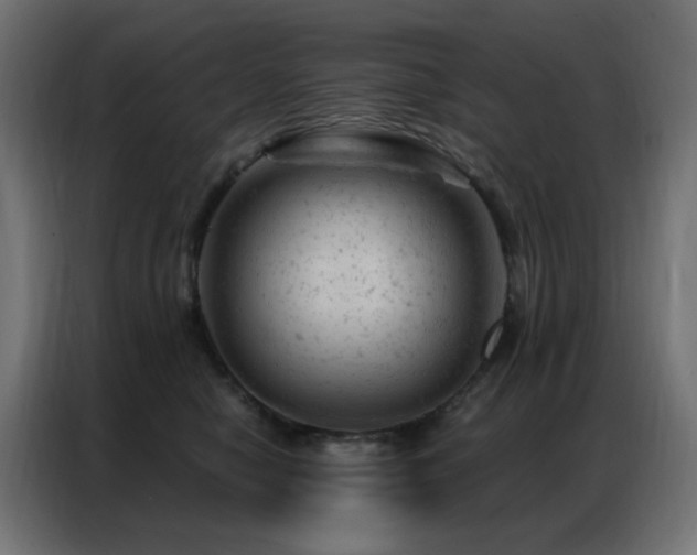X0000087000470200704161527