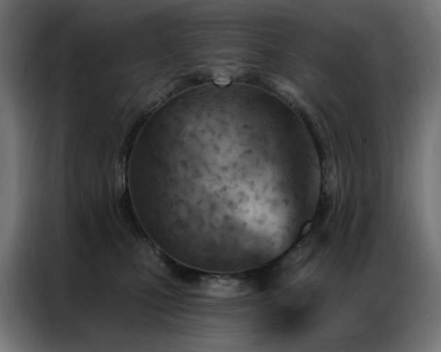 X0000087000471200704161527