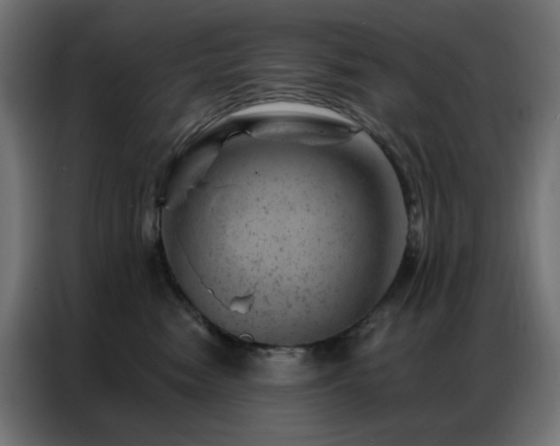 X0000087000474200704161527