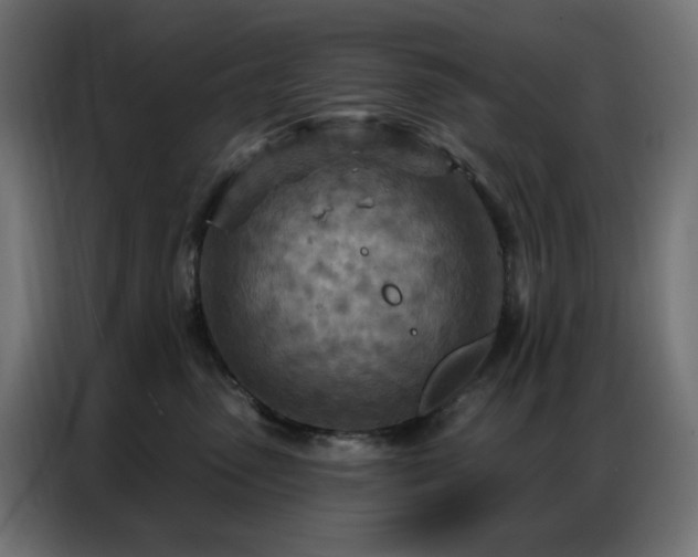 X0000087000475200704161527