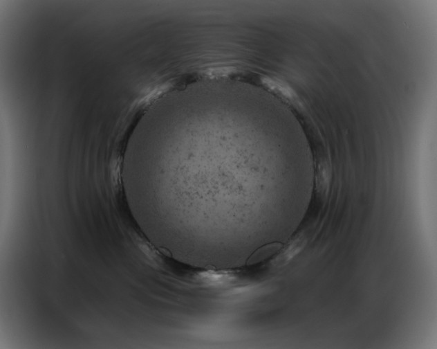 X0000087000477200704161527