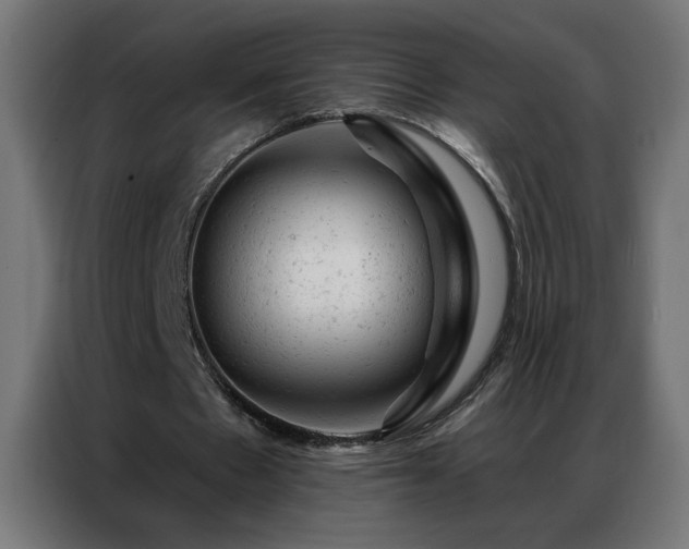 X0000087000481200704161526