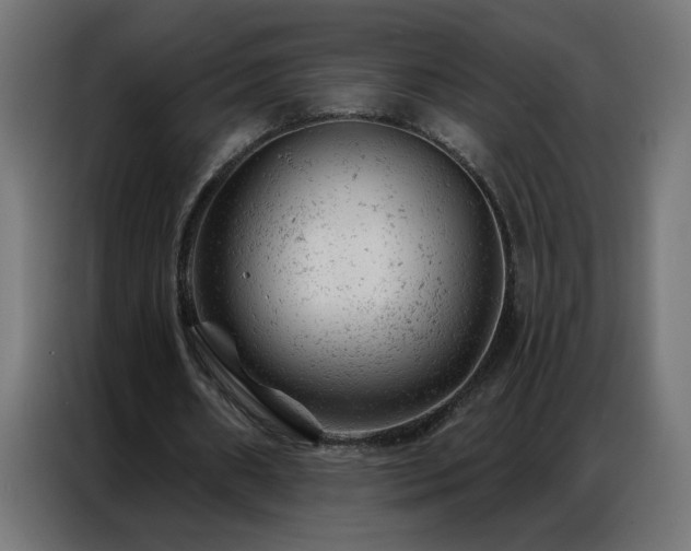 X0000087000482200704161526