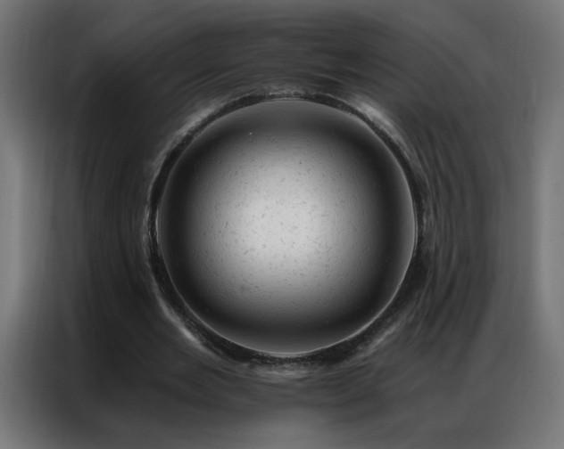 X0000087000485200704161526