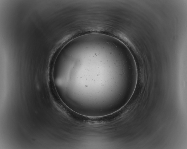 X0000087000486200704161526