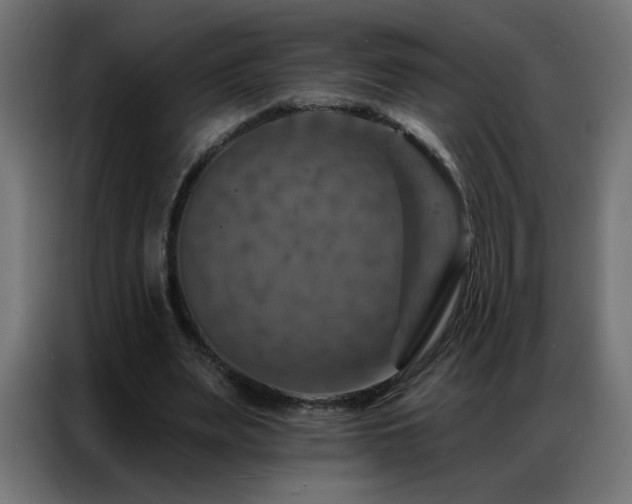 X0000087000487200704161526