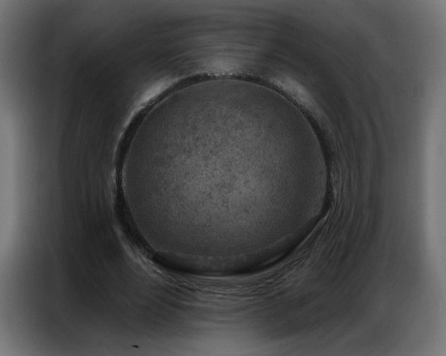 X0000087000488200704161526