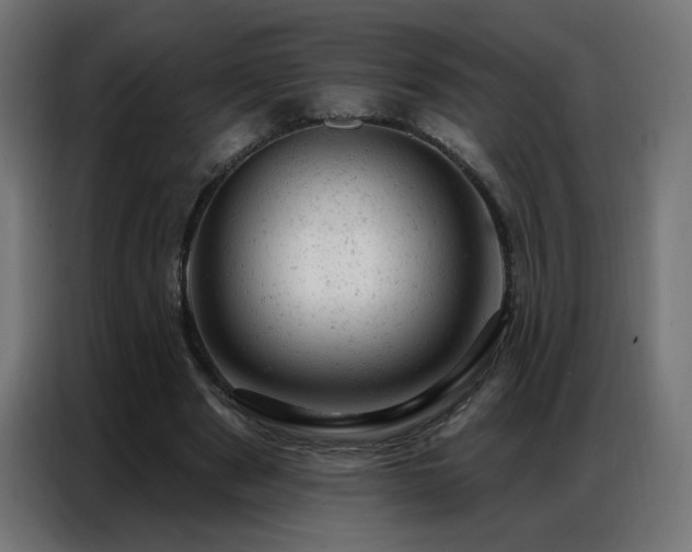 X0000087000489200704161526