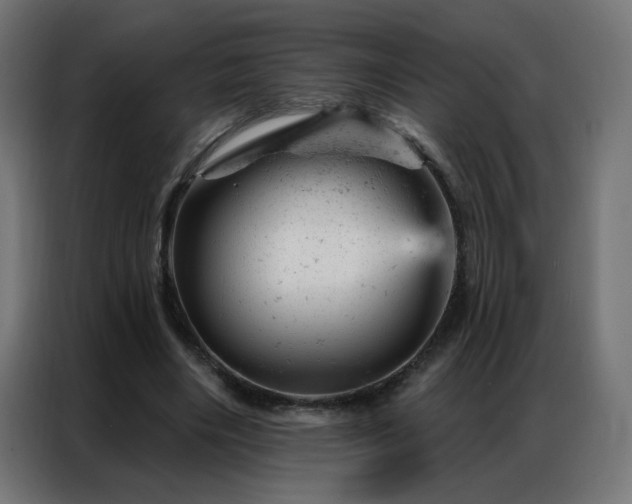 X0000087000490200704161526