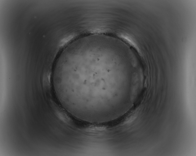 X0000087000491200704161526