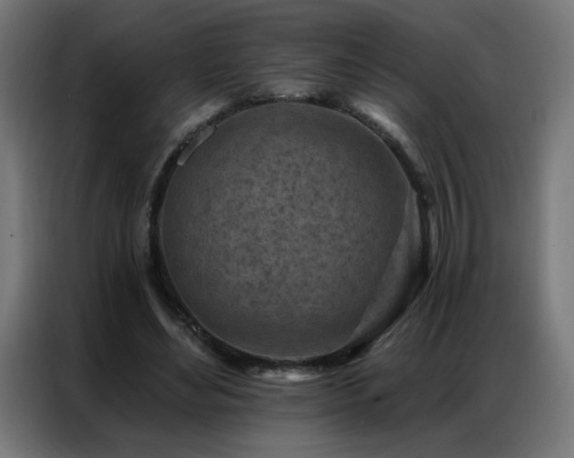X0000087000492200704161526