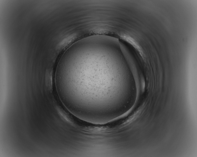 X0000087000493200704161526