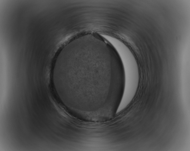 X0000087000496200704161526