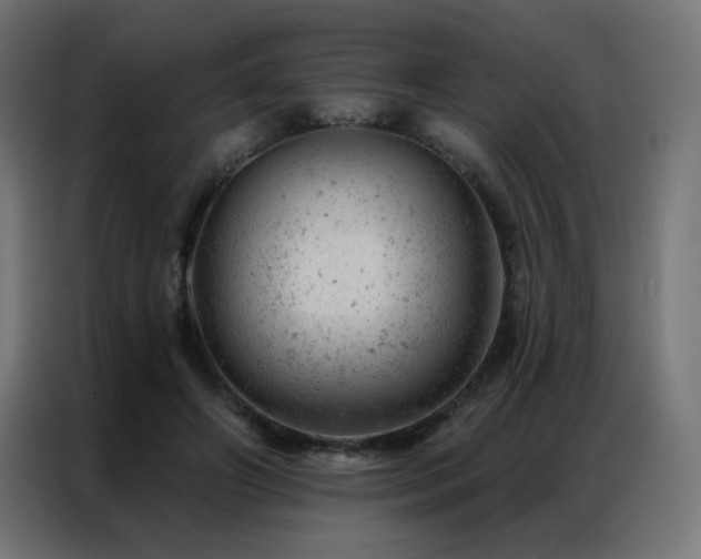X0000087000498200704161526