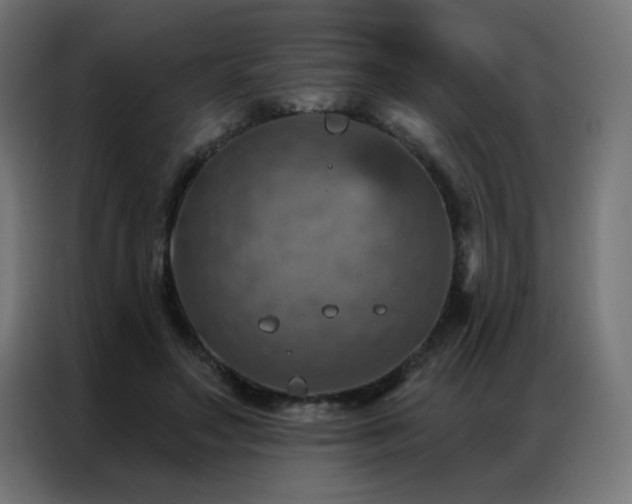 X0000087000499200704161526