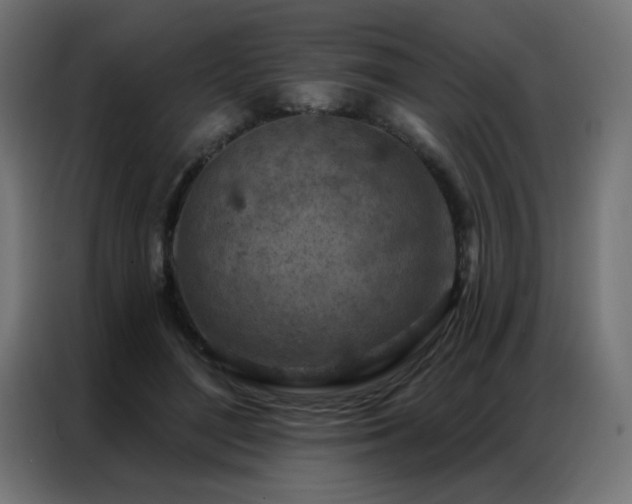 X0000087000500200704161526