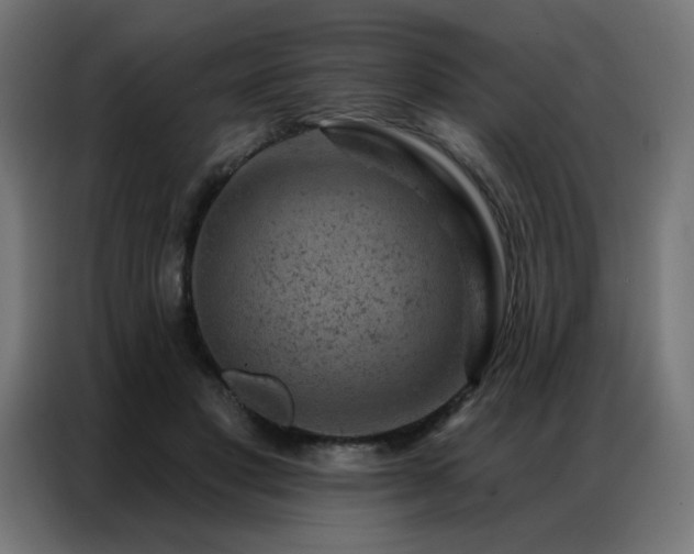 X0000087000501200704161526