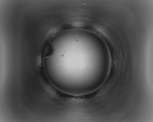 X0000087000502200704161526