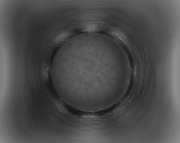 X0000087000503200704161526