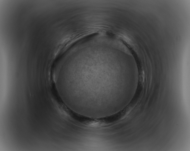 X0000087000504200704161526