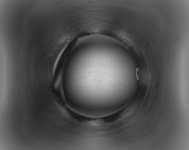 X0000087000505200704161526