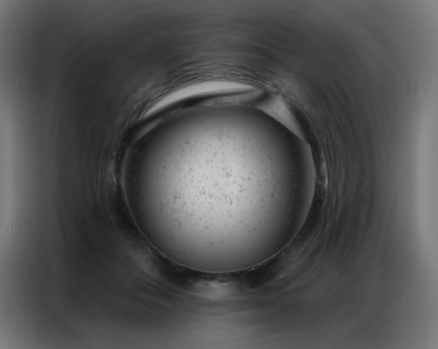 X0000087000506200704161526