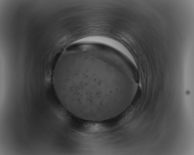 X0000087000507200704161526