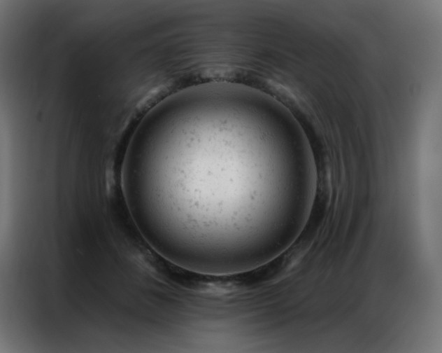 X0000087000508200704161526