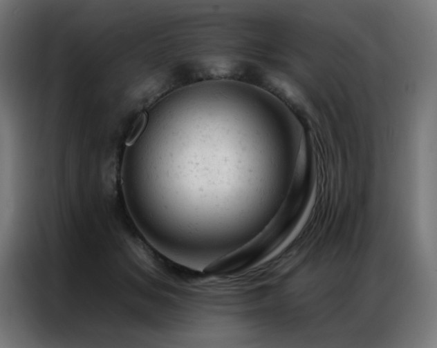 X0000087000509200704161526
