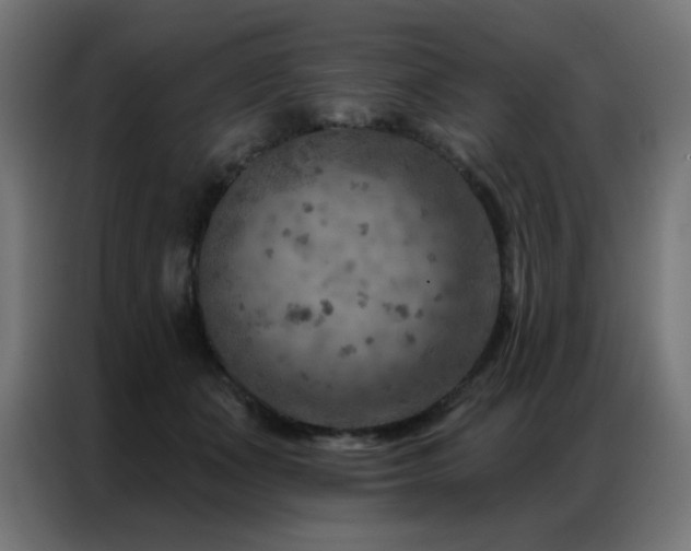 X0000087000511200704161526