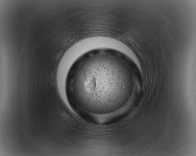 X0000087000512200704161526