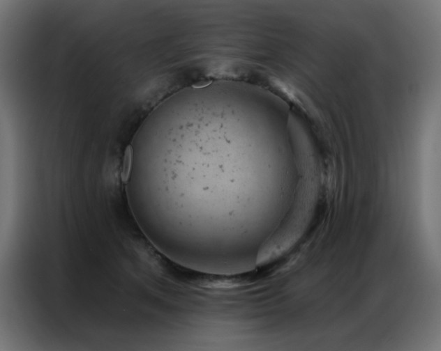 X0000087000513200704161526