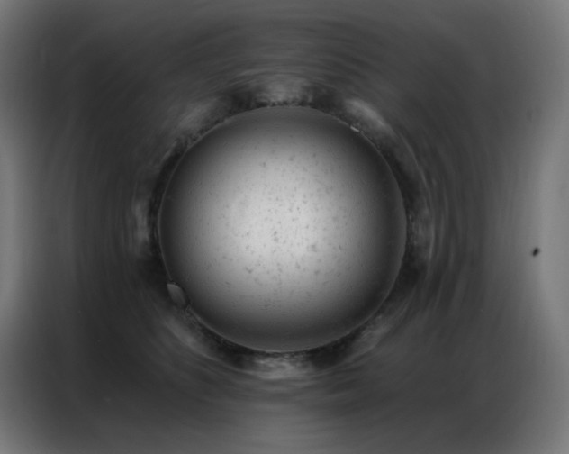 X0000087000516200704161526