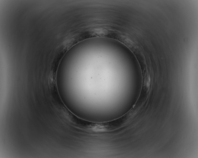 X0000087000518200704161526