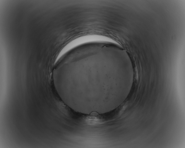 X0000087000519200704161526