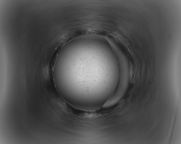 X0000087000520200704161526
