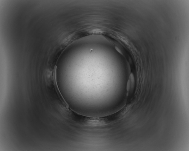 X0000087000521200704161526