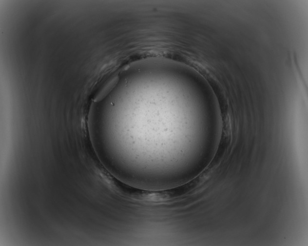 X0000087000522200704161526
