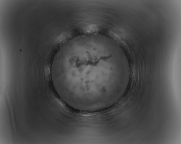 X0000087000523200704161526