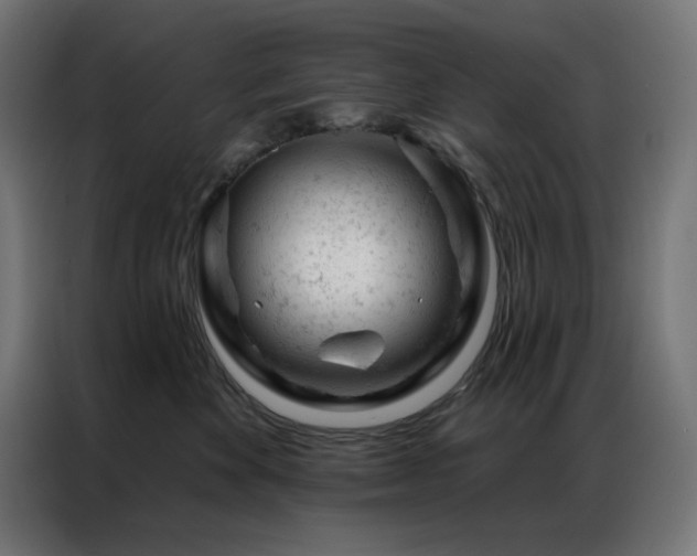 X0000087000524200704161526