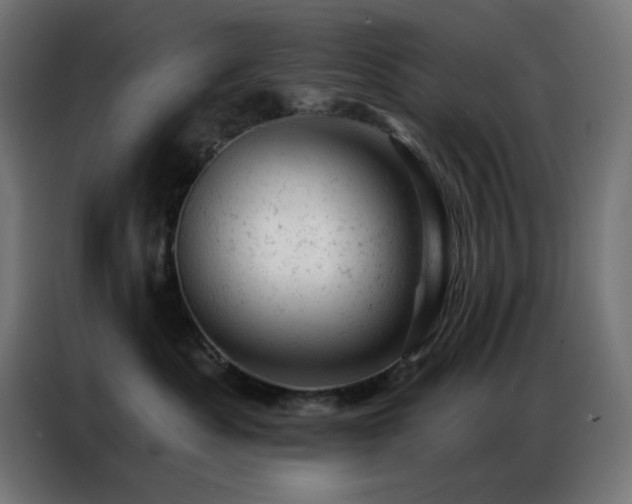 X0000087000525200704161526