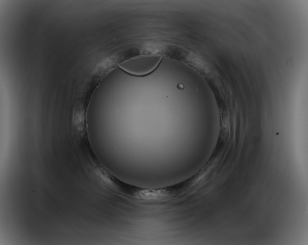 X0000087000526200704161526