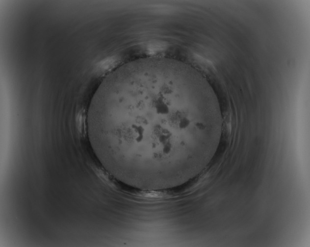 X0000087000527200704161526